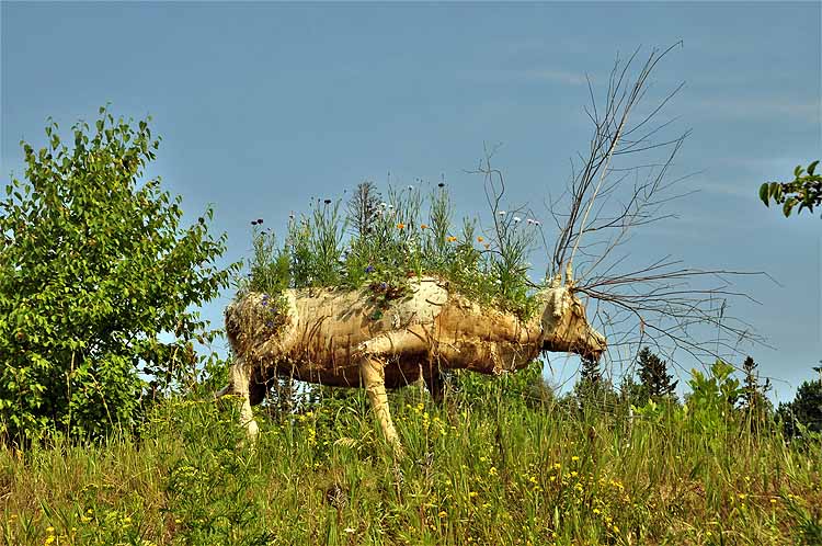 caribou art